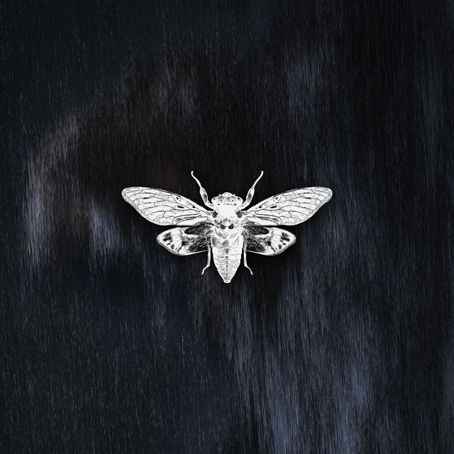 Rebirth - Es.Ka Remix cover art