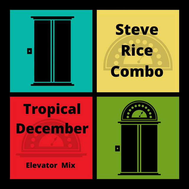 Tropical December (Elevator Mix) cover art