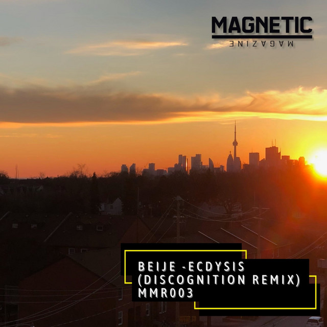 Ecdysis - Discognition Remix