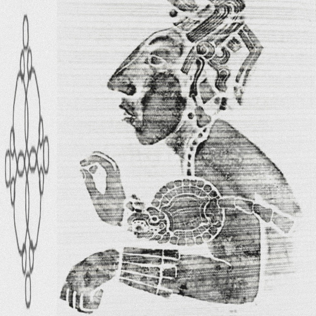 The Pink Trail Above cover art