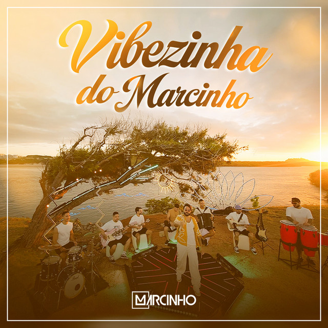 Vibezinha Do Marcinho cover art