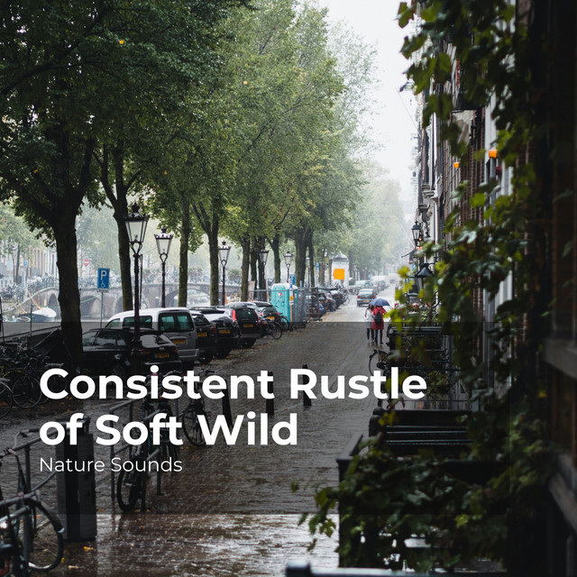 Consistent Rustle of Soft Wild cover art