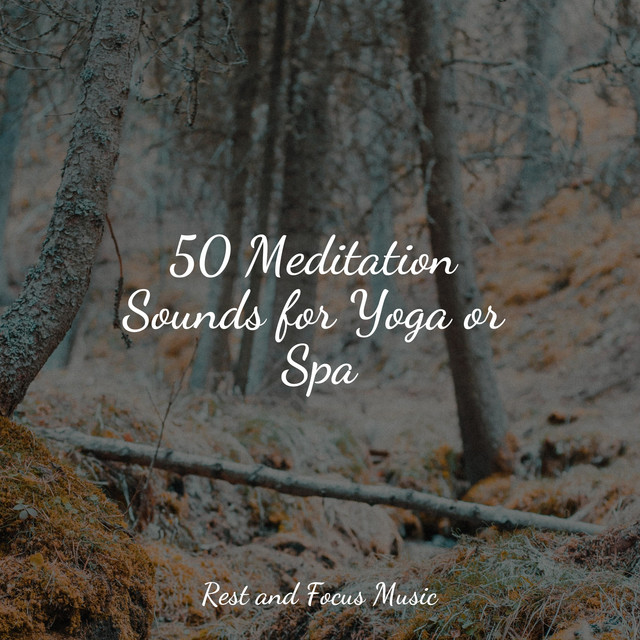 50 Meditation Sounds for Yoga or Spa - Album by Baby Sleep Music | Spotify