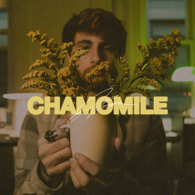 Chamomile cover art