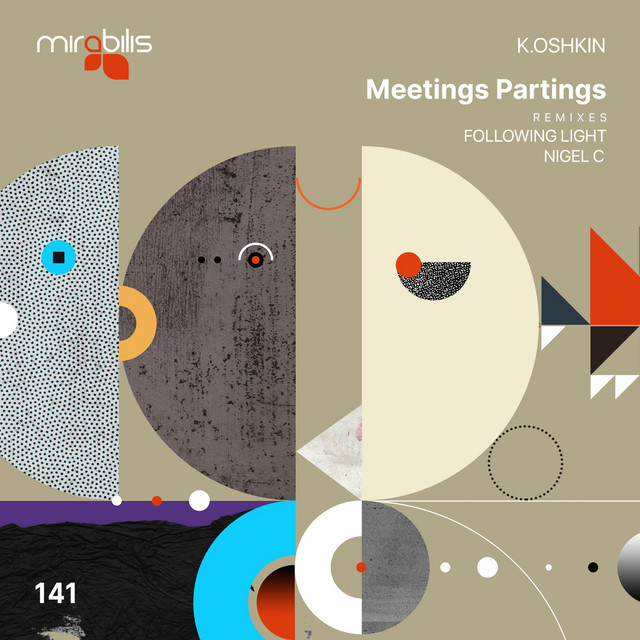 Meetings Partings album art