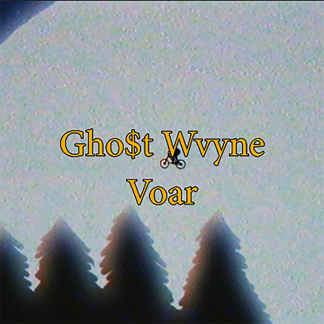 Voar cover art