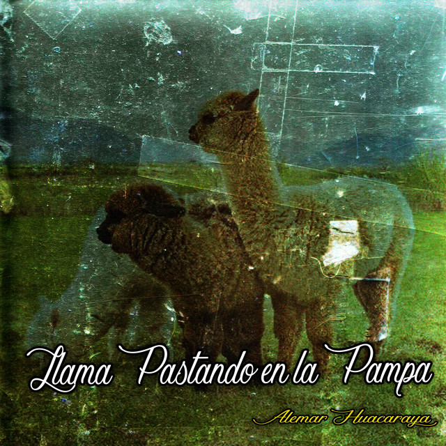 Llama Pastando en la Pampa cover