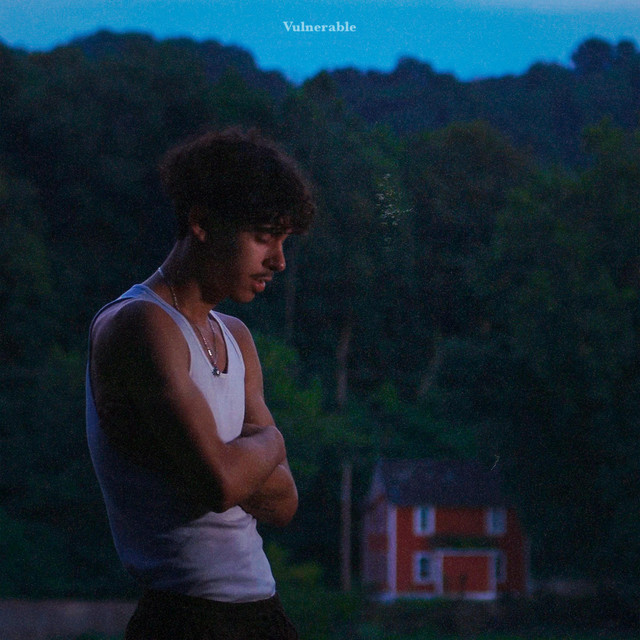 Vulnerable - Single cover art