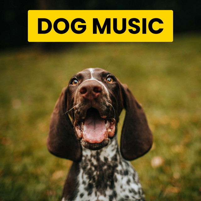 Music For Dogs cover art