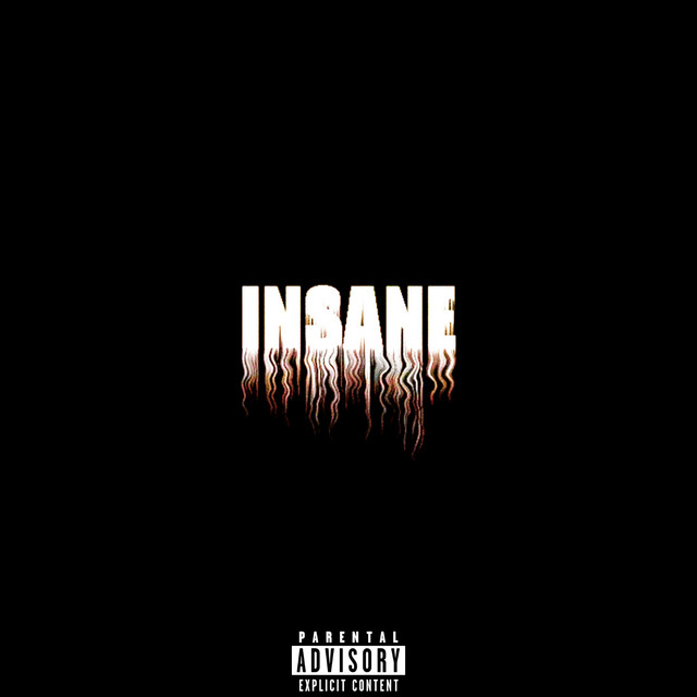 INSANE cover