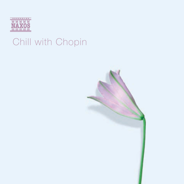Cello Sonata in G Minor, Op. 65, B. 160: III. Largo