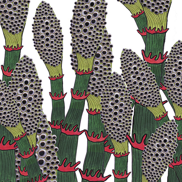 IV cover art