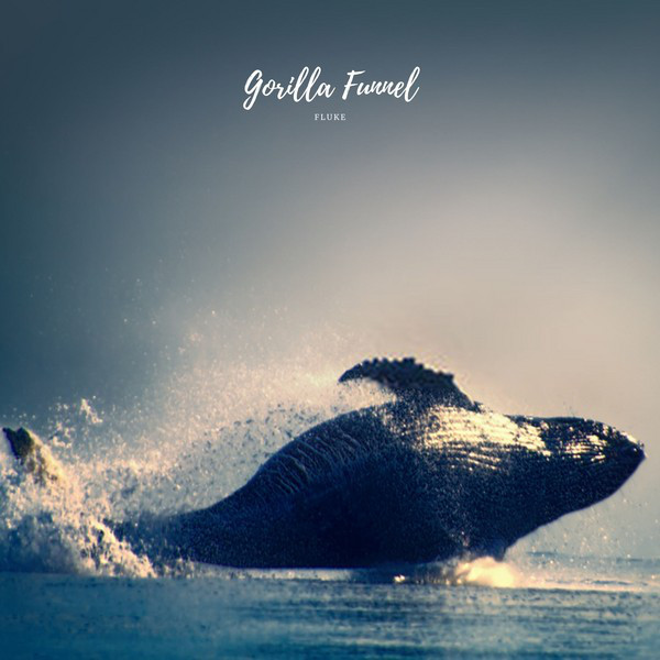 BPM and key for songs by Gorilla Funnel | Tempo for Gorilla Funnel ...