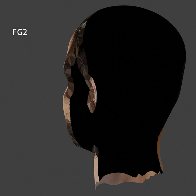 Fg2 cover art