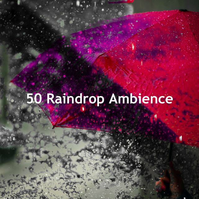 50 Raindrop Ambience cover art