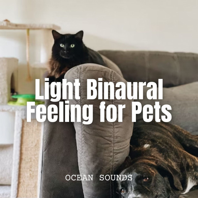 Ocean Sounds: Light Binaural Feeling for Pets cover art