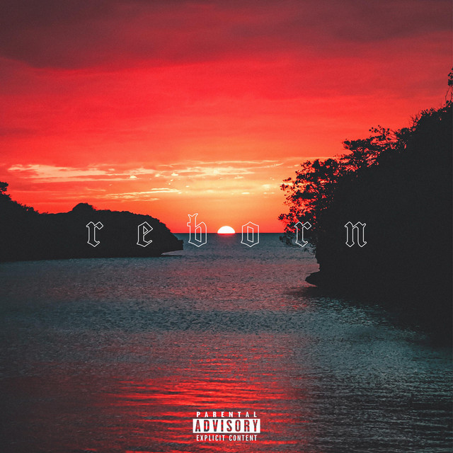 Reborn cover art