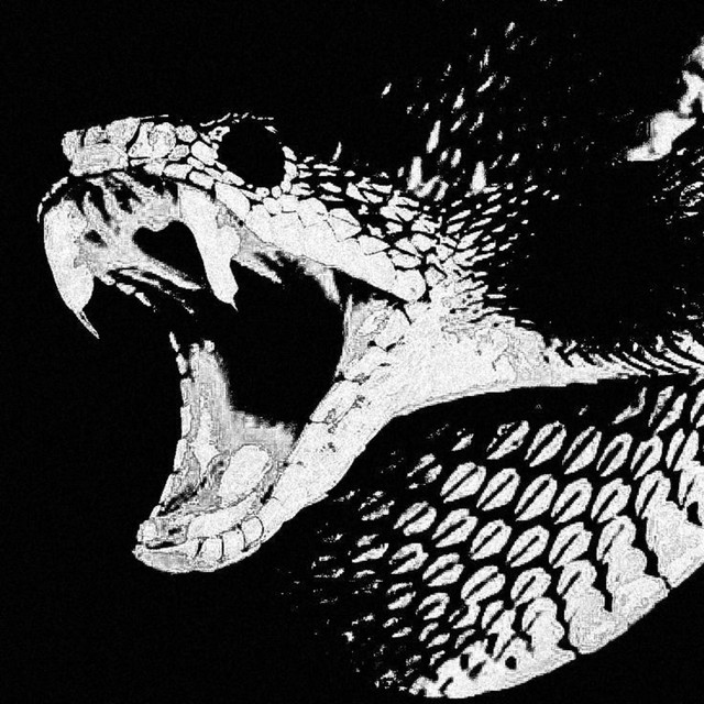Snake - Single by zebulunxo | Spotify