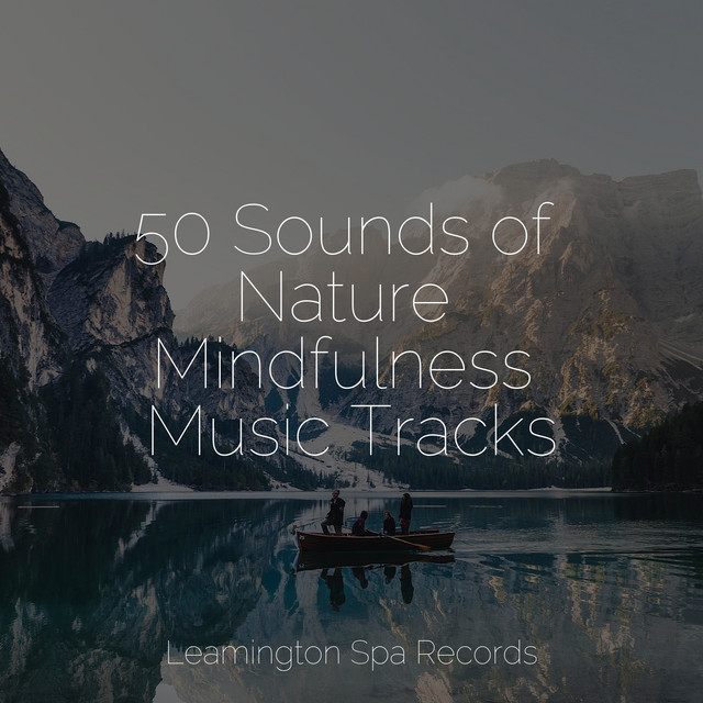 50 Sounds of Nature Mindfulness Music Tracks - Album by Natural Sounds ...