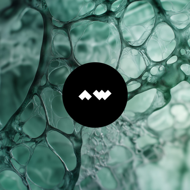 EP Reshape cover art