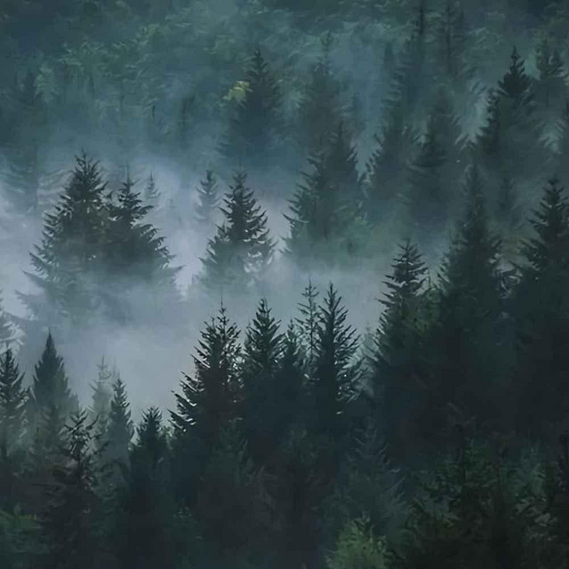 twilight... by #twilight cover art