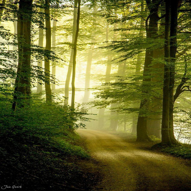 Natural cover art