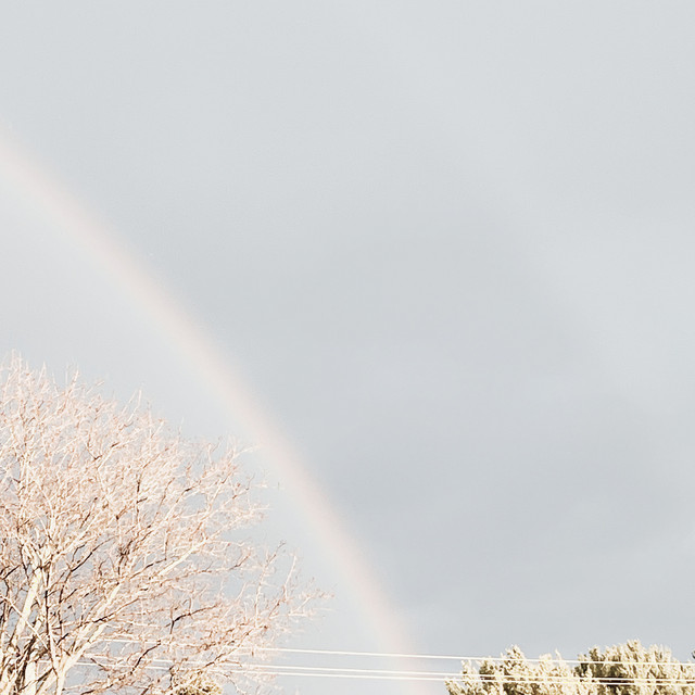 Great Klons - More Beauty in the Rain