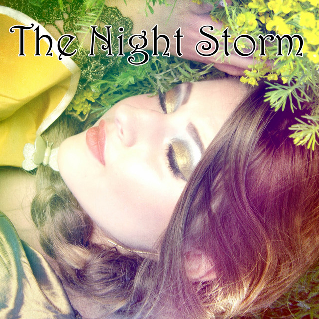 The Night Storm cover art