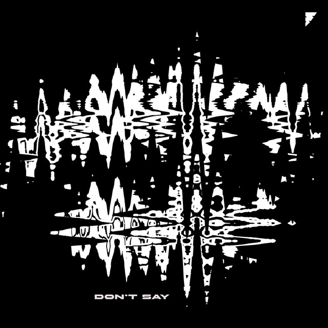 Don't Say cover art