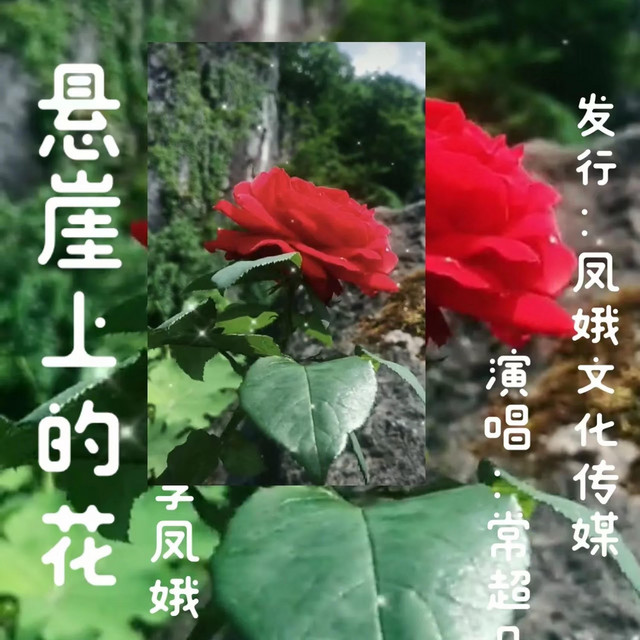 懸崖上的花(完整版)