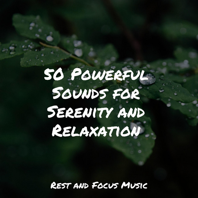 50 Powerful Sounds for Serenity and Relaxation - Album by Lullabies for ...