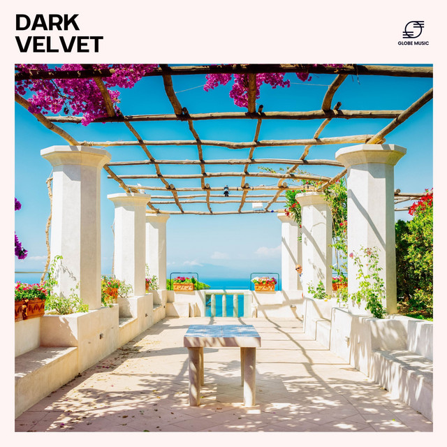 Dark Velvet