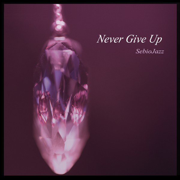 Never Give Up (feat. Philippe Cocogne & Caroline Gsell) cover art