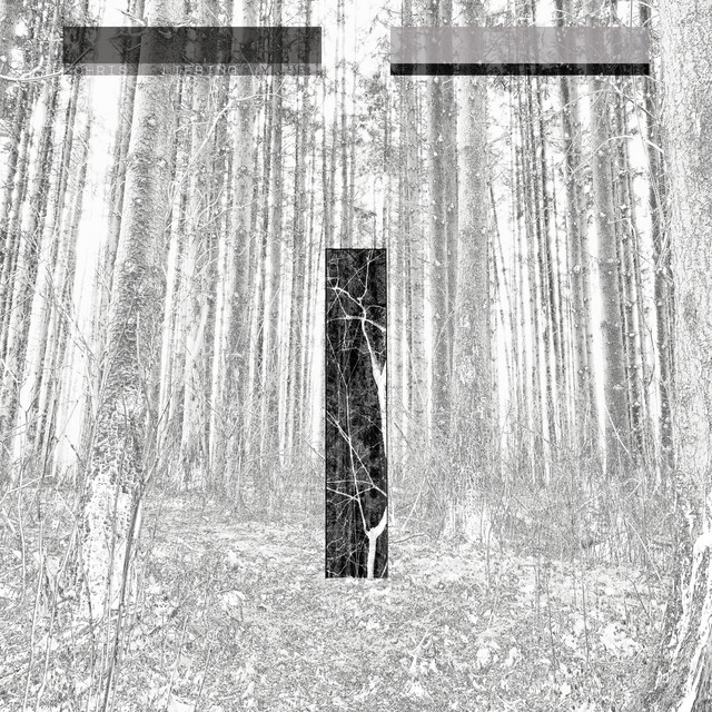 Fault Line (feat. Miles Cooper Seaton & Ralf Hildenbeutel) [Plaid Remix]