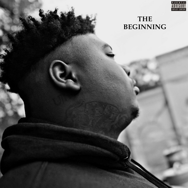 The Beginning cover art
