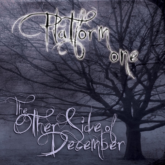 The Other Side of December cover art