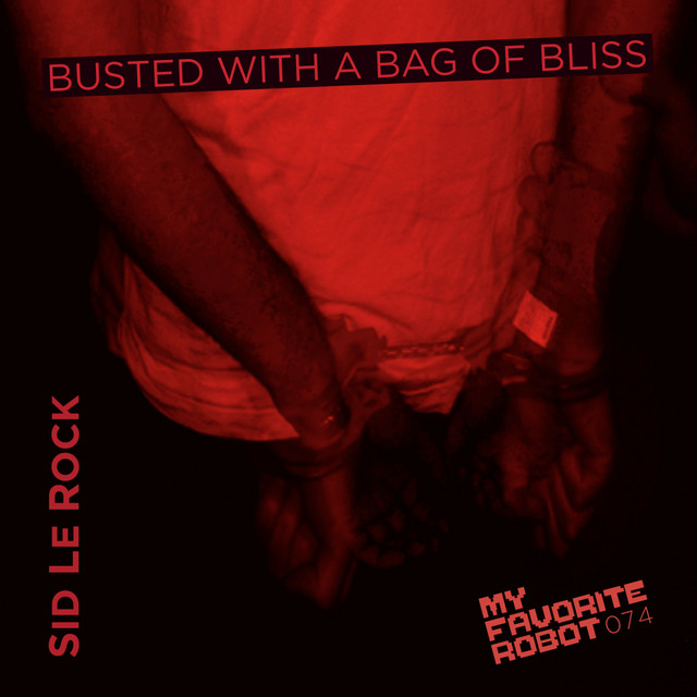 Busted With A Bag Of Bliss cover art