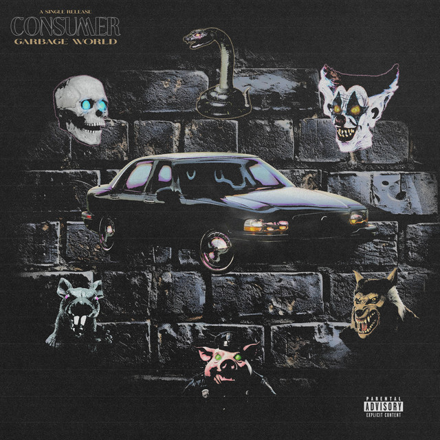 Consumer cover art