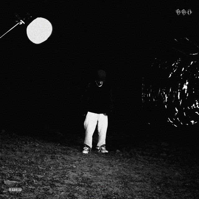 Better Have Motion cover art
