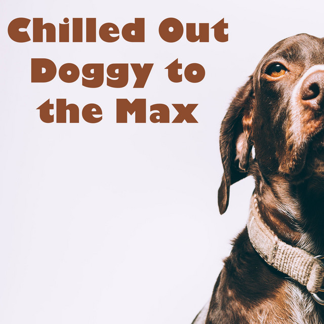 Chilled Out Doggy to the Max cover art
