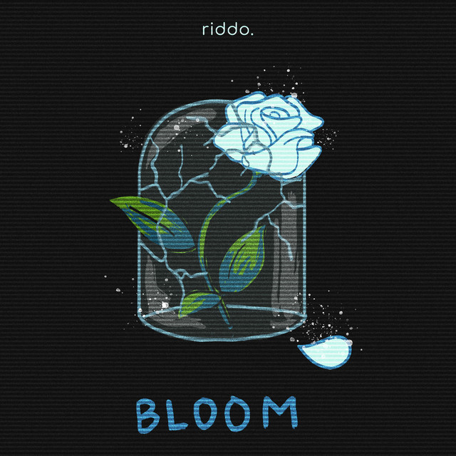 BLOOM cover art