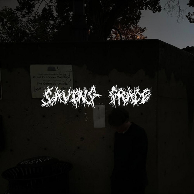 Saving grace cover art