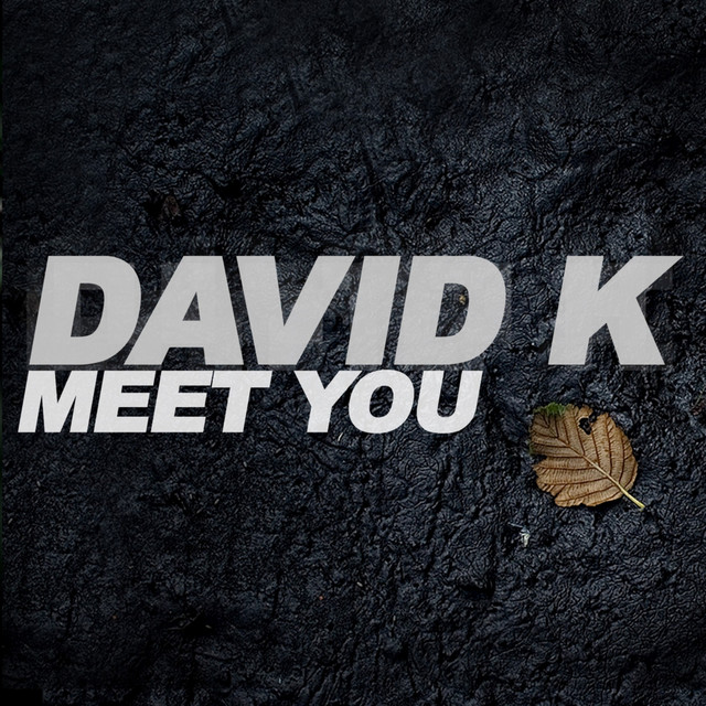Meet You - Thomas Lizzara Remix album art