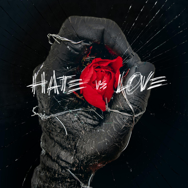 Hate VS Love cover art