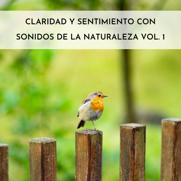 Claridad Y Sentimiento Con Sonidos De La Naturaleza Vol.1 cover art