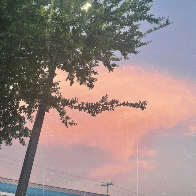 cardigan cover art
