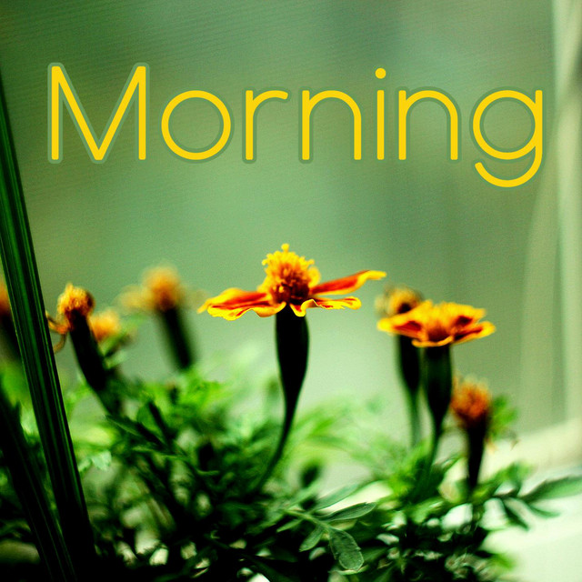 Обкладинка sweet_kr — Morning