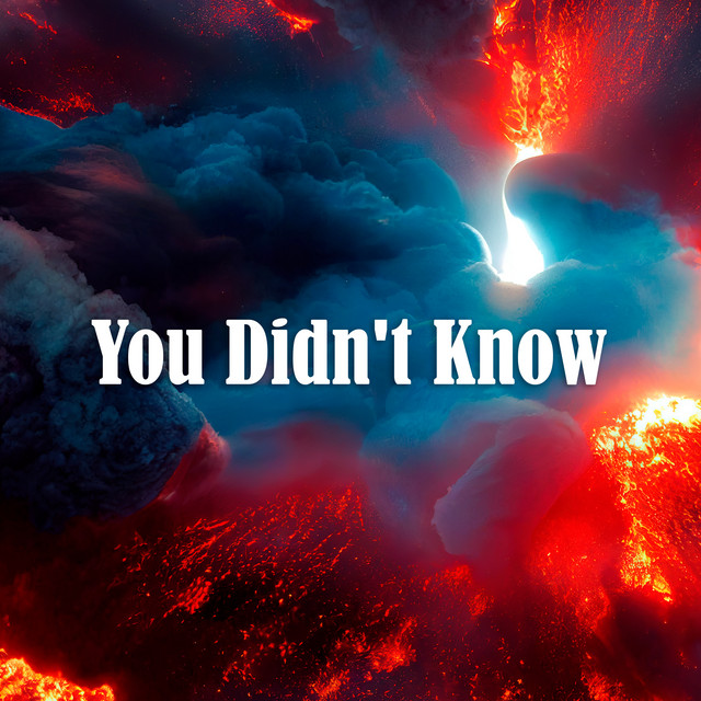 You Didn't Know / No Lo Sabías - Cover en Español