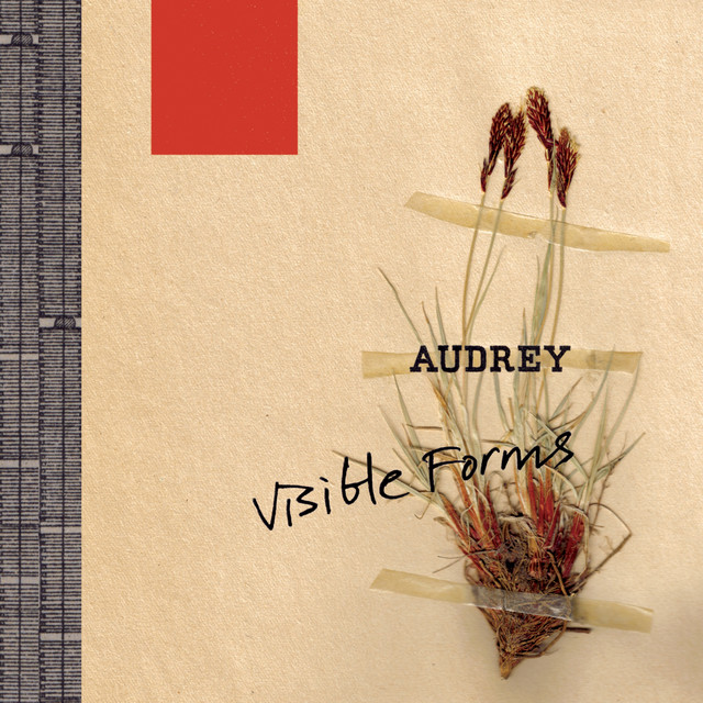 Visible Forms cover art
