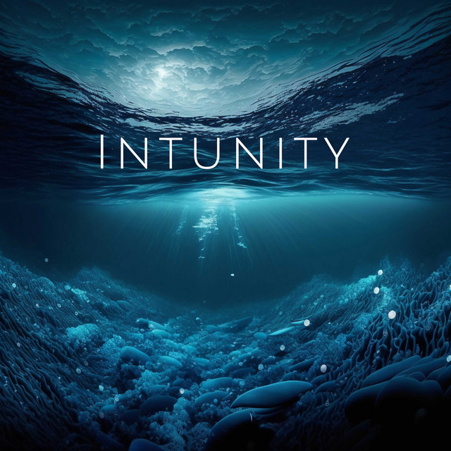 Intunity cover art